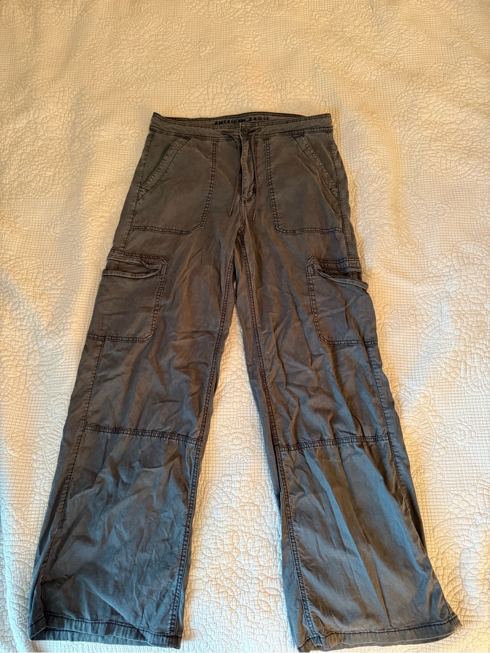 American Eagle Outfitters Men's Dark Gray Cargo Pants